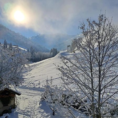 Ferienwohnungen Lehenhof Alpbach Bagian luar foto