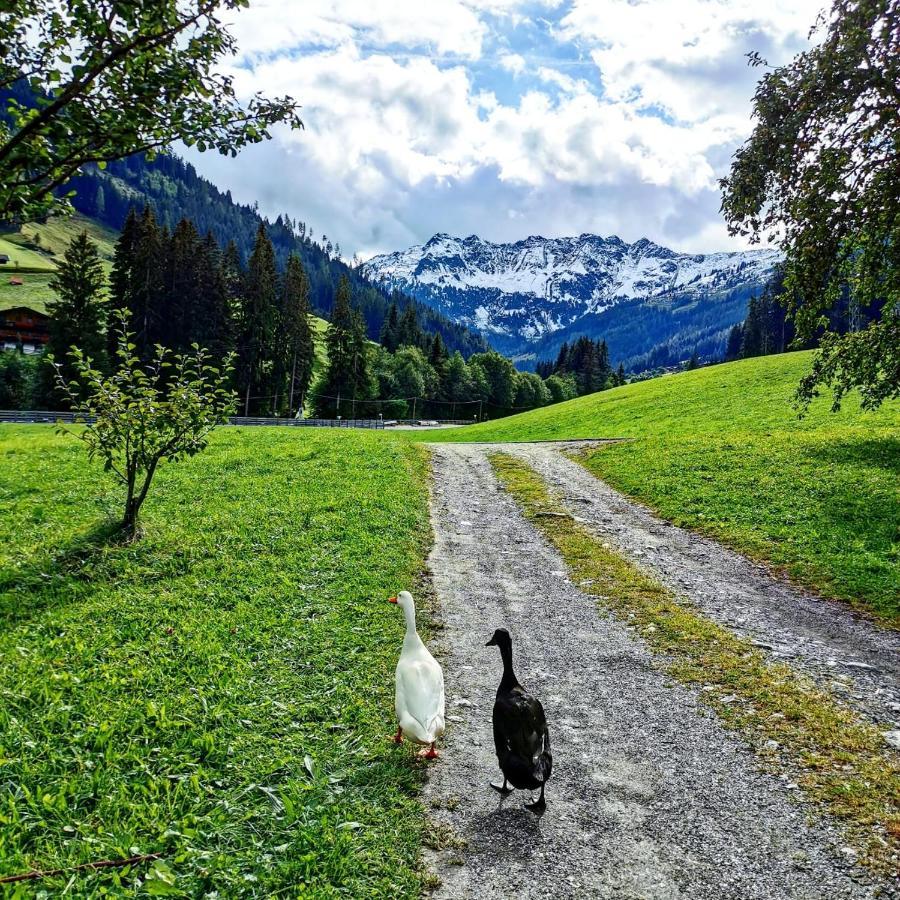 Ferienwohnungen Lehenhof Alpbach Bagian luar foto