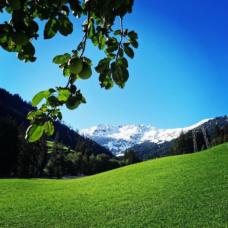 Ferienwohnungen Lehenhof Alpbach Bagian luar foto