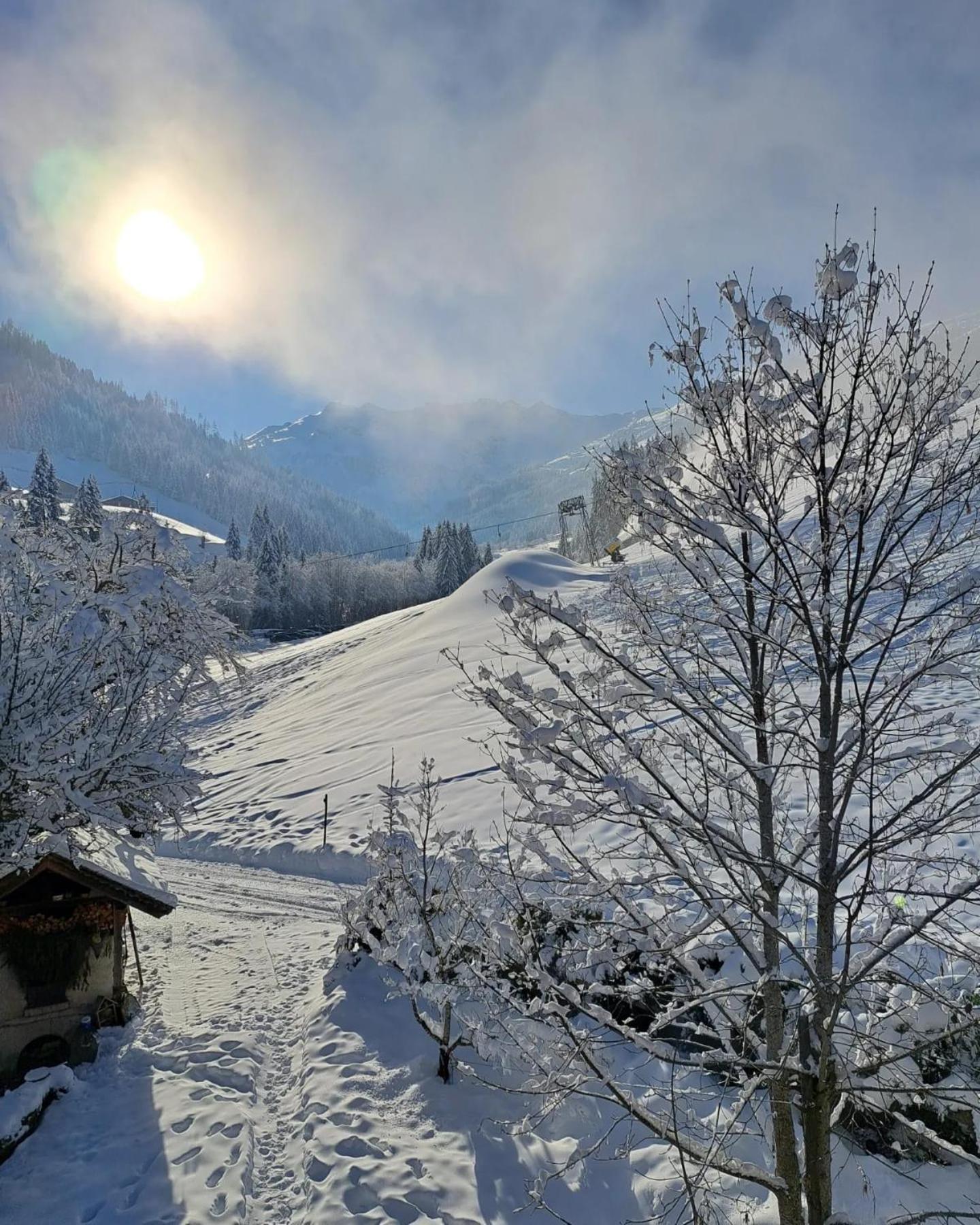 Ferienwohnungen Lehenhof Alpbach Bagian luar foto
